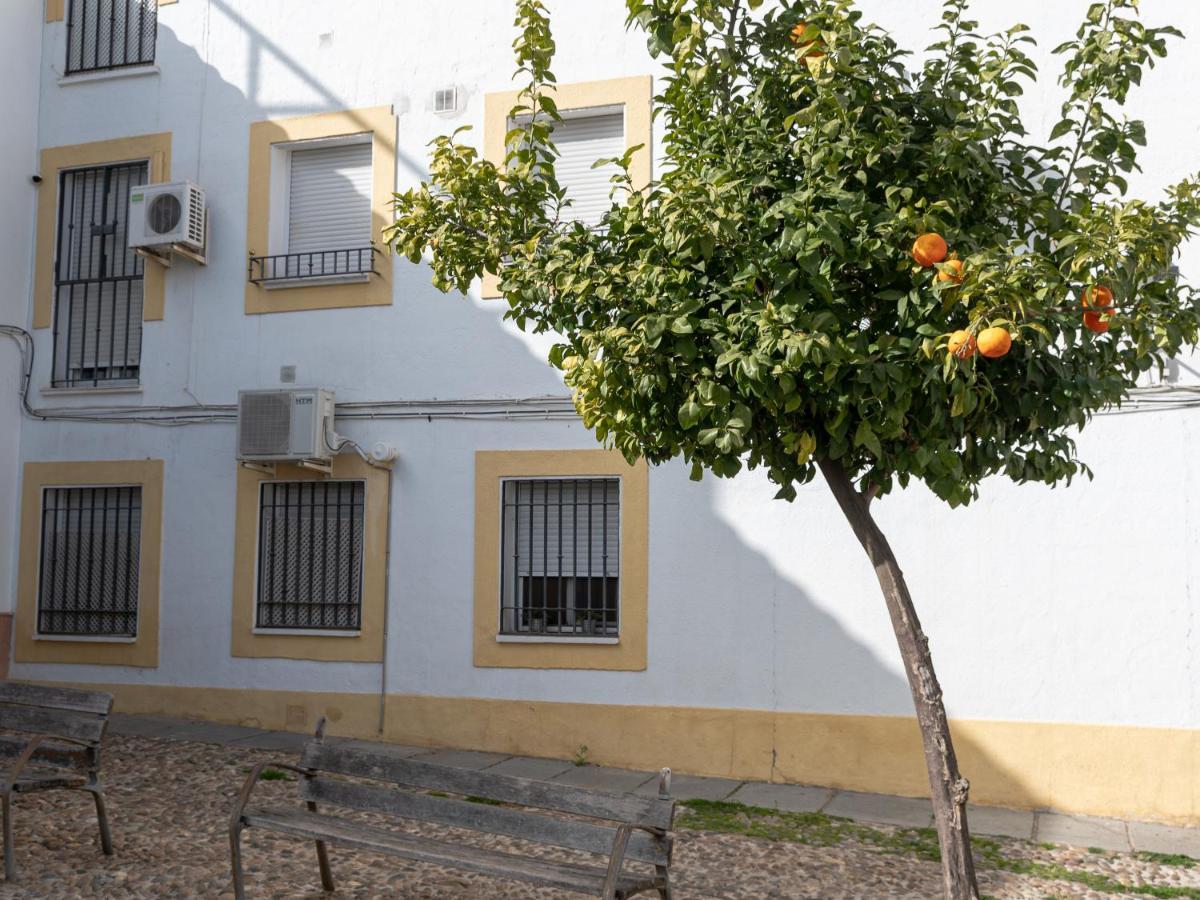 Nayber Gavia - Nuevo Y Centrico Apartamento En Córdoba Eksteriør bilde