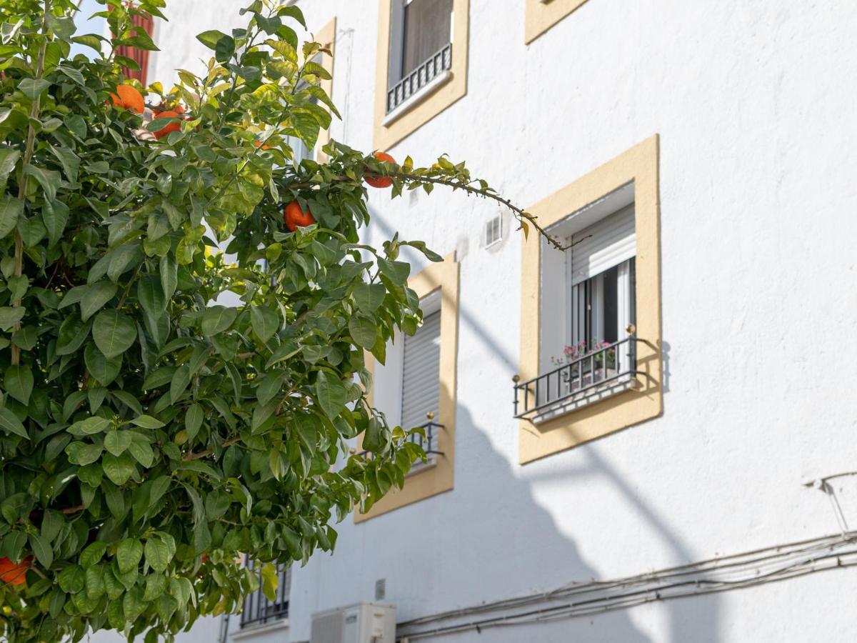 Nayber Gavia - Nuevo Y Centrico Apartamento En Córdoba Eksteriør bilde