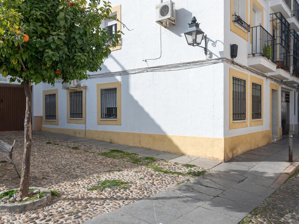 Nayber Gavia - Nuevo Y Centrico Apartamento En Córdoba Eksteriør bilde